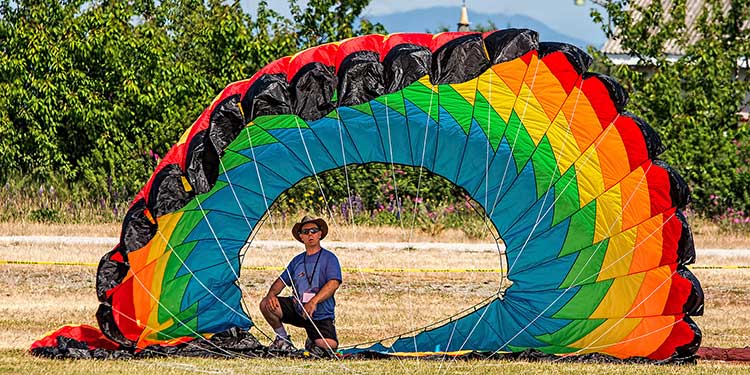Go, fly a kite