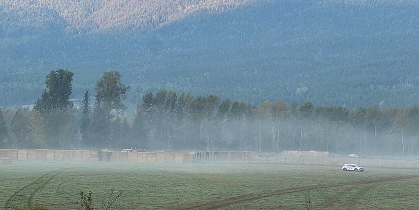 Interim stay of cull order turns despair to joy on B.C. ostrich farm