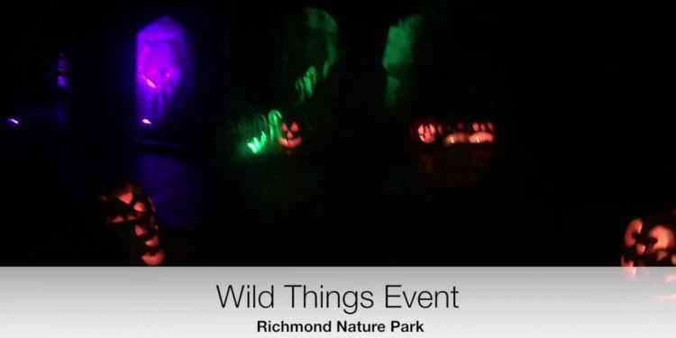 Wild Things Pathway