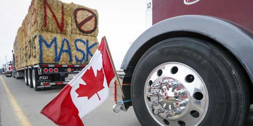 Bail decision reserved for blockade protester