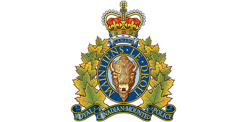 Pedestrian fatality on No. 2 Road