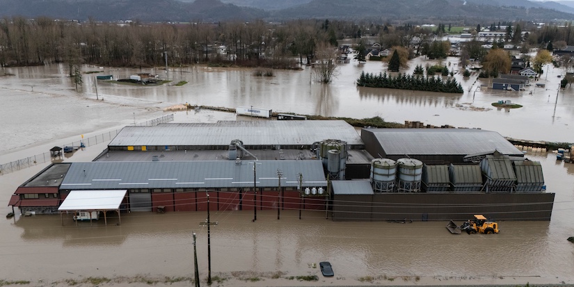 165 farms under flood evacuation order or alert in B.C.'s Fraser Valley