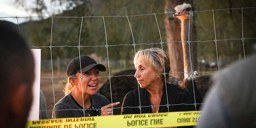 CFIA says B.C. ostrich farmers must leave by Tuesday or face arrest