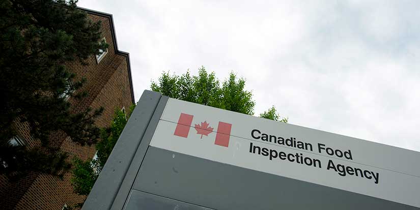 27 sickened by salmonella in outbreak linked to dog food and treats